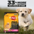 Pedigree Pro Dry Dog Food For Large Breed Puppy (3-18 Months)