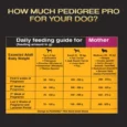 Pedigree Pro Mother and Puppy Starter Small Breed Dog Dry Food, (3-12 Weeks)