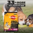 Pedigree Pro Mother and Puppy Starter Small Breed Dog Dry Food, (3-12 Weeks)