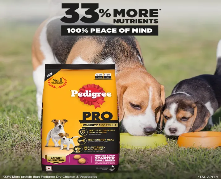 Pedigree mother shop and puppy starter