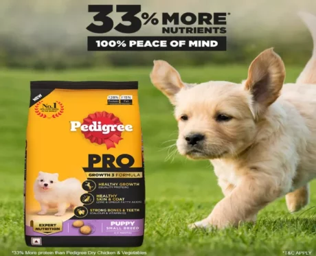 Pedigree Pro Small Breed Puppy Dry Food at ithinkpets