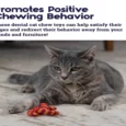 Petstages Catnip Plaque Away Pretzel Cat Chew Toy Orange