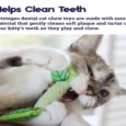 Petstages Fresh Breath Mint Stick Cat Toy