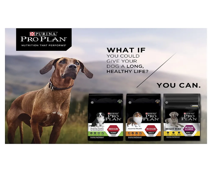 Purina Pro Plan Large Breed Puppy at ithinkpets.com