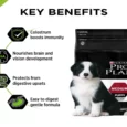 Purina Pro Plan Medium Breed Puppy, Dog Dry Food