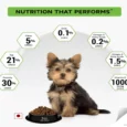 Purina Pro Plan Small and Mini Breed Puppy Dry Food