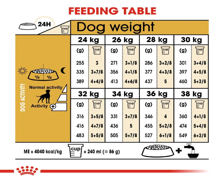 Royal Canin Boxer Adult Dog Dry Food at ithinkpets (6)
