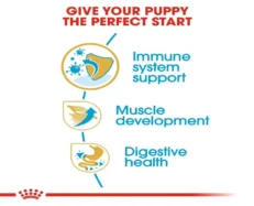 Royal Canin Boxer Puppy Dry Food at ithinkpets (2)