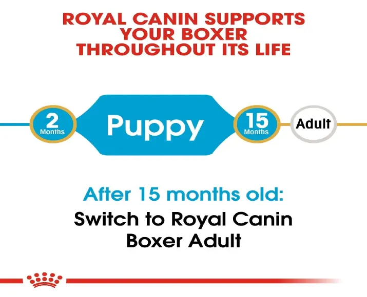 Royal Canin Boxer Puppy Dry Food at ithinkpets (6)