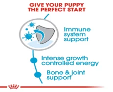 Royal Canin Giant Breed Puppy Dry Food at ithinkpets (2)