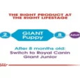 Royal Canin Giant Breed Puppy Dry Food