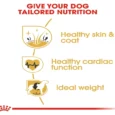 Royal Canin Golden Retriever Adult Dog Dry Food