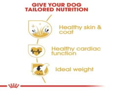 Royal Canin Golden Retriever Adult Dog Dry Food at ithinkpets (4)