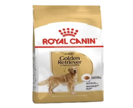 Royal Canin Golden Retriever Adult Dog Dry Food at ithinkpets