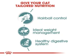 Royal Canin Hairball Care Cat Wet Food at ithinkpets (3)