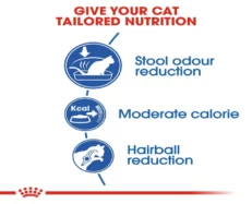 Royal Canin Indoor 27 Cat Dry Food at ithinkpets (4)