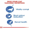 Royal Canin Indoor 7+Cat Dry Food