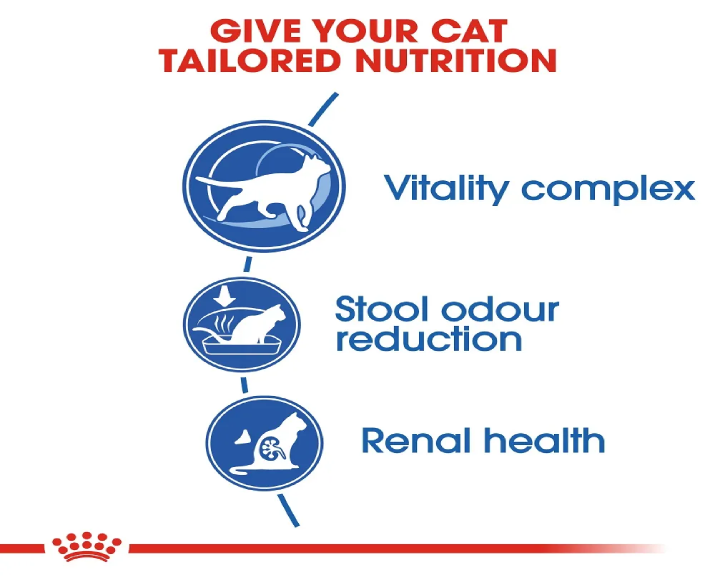 Royal Canin Indoor 7 + Cat Dry Food at ithinkpets (8)