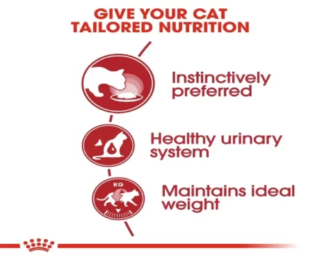 Royal Canin Instinctive Adult Loaf Cat Wet Food at ithinkpets (2)