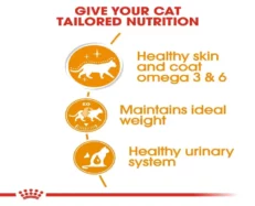 Royal Canin Intense Beauty Cat Wet Food at ithinkpets (6)