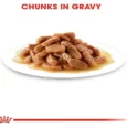 Royal Canin Kitten Instinctive Gravy Cat Wet Food