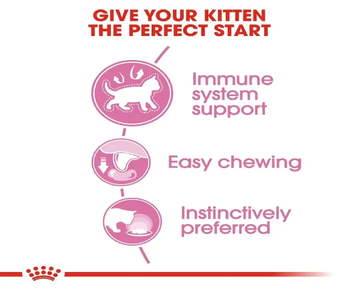 Royal Canin Kitten Instinctive Jelly Cat Wet Food at ithinkpets (6)