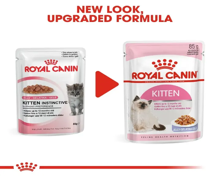 Royal Canin Kitten Instinctive Jelly Cat Wet Food at ithinkpets (7)