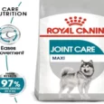 Royal Canin Maxi Joint Care Dog Dry Food