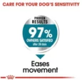Royal Canin Maxi Joint Care Dog Dry Food