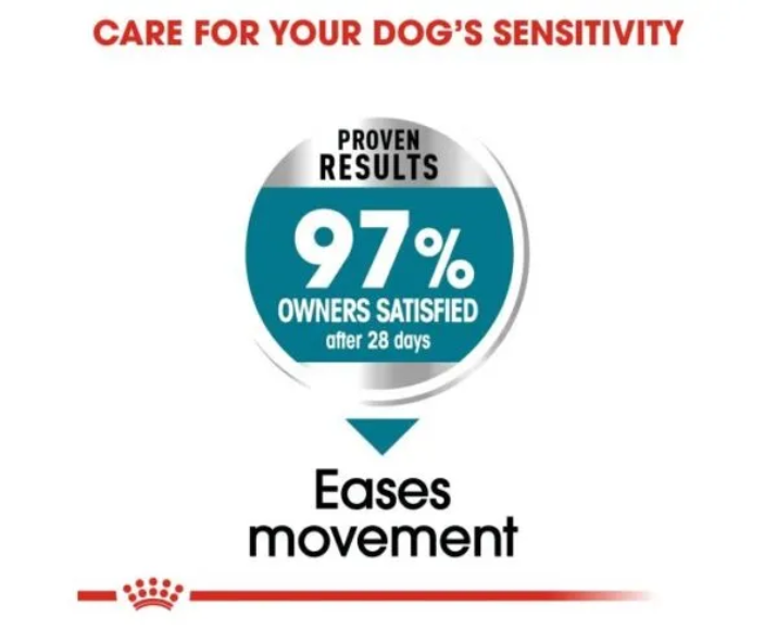 Royal Canin Maxi Joint Care Dog Dry Food at ithinkpets (3)