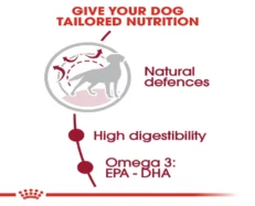 Royal Canin Medium Breed Adult Dog Dry Food at ithinkpets (4)
