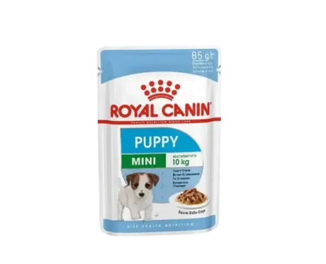 Royal Canin Mini Breed Puppy Dog Wet Food at ithinkpets