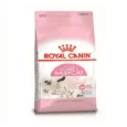 Royal Canin Mother and Baby Kitten Dry Food