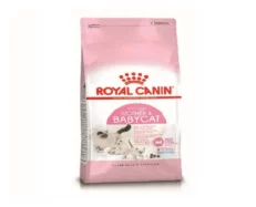 Royal Canin Mother and Baby Kitten Dry Food at ithinkpets (2)