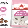 Royal Canin Mother and Baby Kitten Dry Food