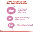 Royal Canin Mother and Baby Kitten Dry Food