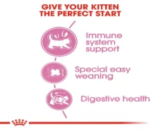 Royal Canin Mother and Baby Kitten Dry Food at ithinkpets (4)