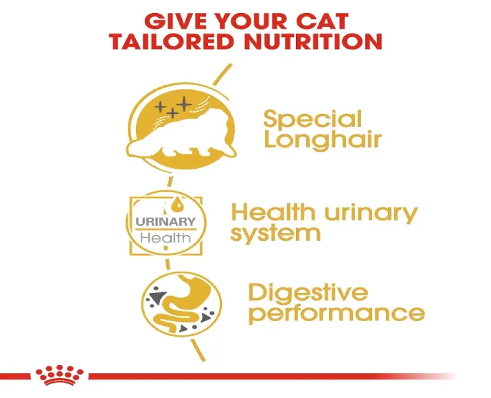 Royal Canin Persian Adult Cat Wet Food at ithinkpets (3)
