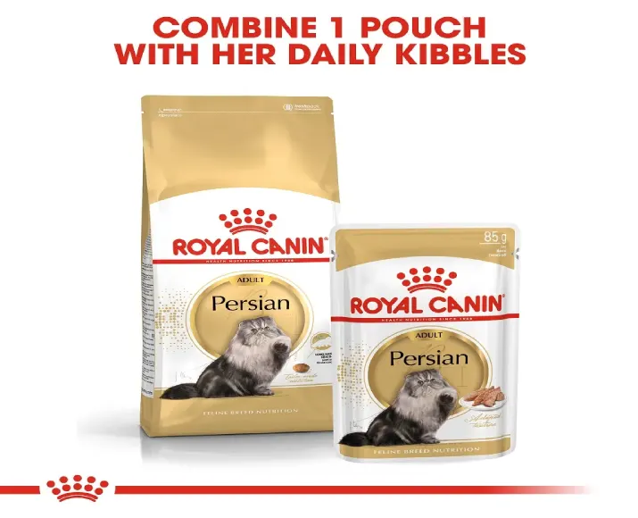 Royal Canin Persian Adult Cat Wet Food at ithinkpets (7)