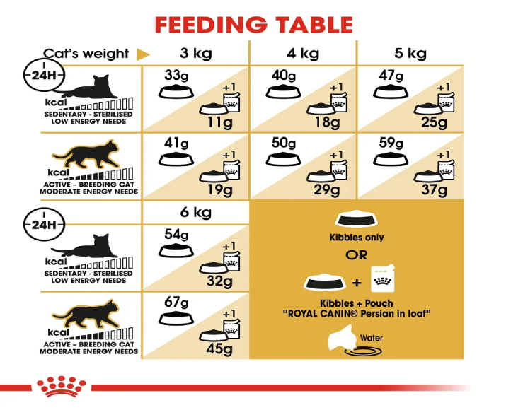 Royal Canin Persian Cat Adult Dry Food at ithinkpets (6)