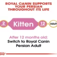 Royal Canin Persian Kitten Dry Food