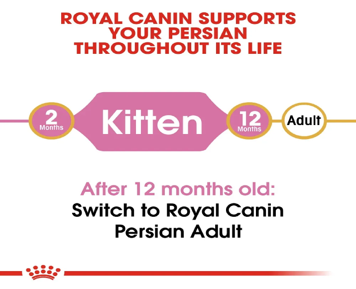 Royal Canin Persian Kitten Dry Food at ithinkpets (1)