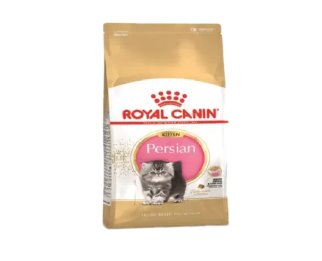 Royal Canin Persian Kitten Dry Food at ithinkpets