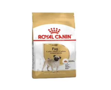 Royal Canin Pug Adult Dog Dry Food at ithinkpets