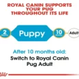 Royal Canin Pug Puppy Dog Dry Food