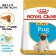 Royal Canin Pug Puppy Dog Dry Food