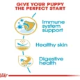 Royal Canin Pug Puppy Dog Dry Food