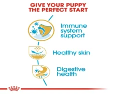 Royal Canin Pug Puppy Dog Dry Food at ithinkpets (4)