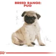 Royal Canin Pug Puppy Dog Dry Food