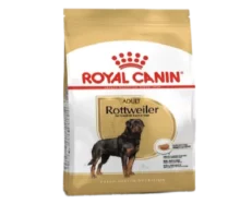 Royal Canin Rottweiler Adult Dog Dry Food at ithinkpets